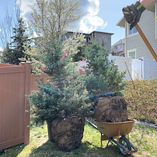 Delivery-Moving-Service-from-Spokane-to-Pullman 0